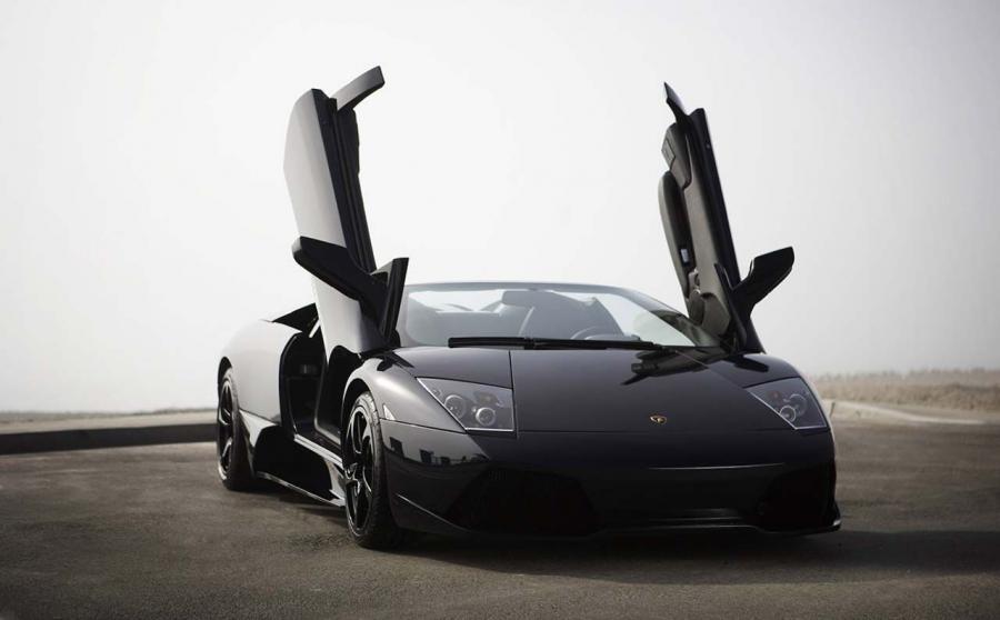  Lamborghini Murcielago LP640 Roadster Versace 2008 года  (фото 4 из 12)
